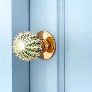 Meet your Posher, Jen